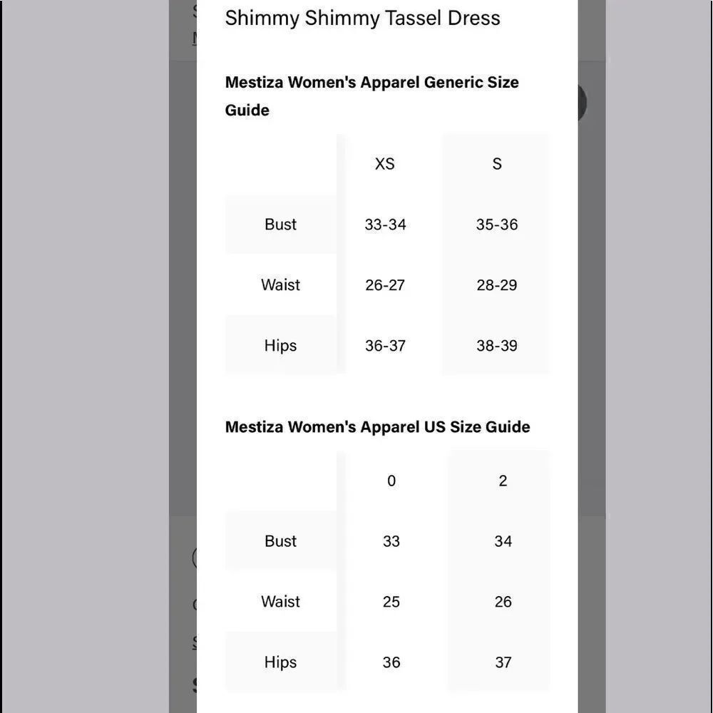 MESTIZA SHIMMY SHIMMY TASSEL DRESS - Picture 7 of 7